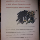 Johanna Broman : Selvänäkijän maailmat - pikkukuva 2