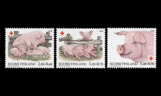 1422-4 ** Punainen Risti sikoja (1998)