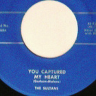 THE SULTANS; Lemon squeezing daddy / You captured my heart - pikkukuva 4