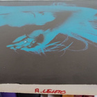 Johnny Winter – Saints & Sinners LP - pikkukuva 5