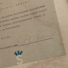 Helsingin Suojeluskuntapiirin kunniakirja - pikkukuva 3