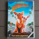 DVD: Beverly Hillsin Hienostohauva (Disney 2008) - pikkukuva 1