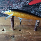 Rapala Floating 6,5cm - pikkukuva 2