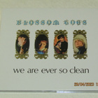 *CD* BLOSSOM TOES We Are Ever So Clean - pikkukuva 1