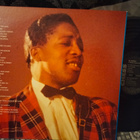 Bo Diddley 2LP - pikkukuva 2