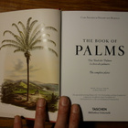 Carl Friedrich Philipp von Martius - The book of palms - pikkukuva 2