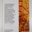 Aikuiskasvatus 1/2007 : Itseänsä kehittävä aikuinen - pikkukuva 2