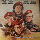 VILLIHANHET DVD - pikkukuva 1