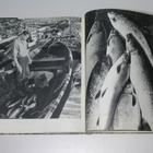Kalla - Perämeren kalakari (1.p. 1969, kp) - pikkukuva 3