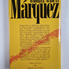 Gabriel Garcia Marquez : Miguel Littinin maanalainen seik... - pikkukuva 2