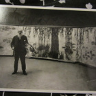 Claude Monet dans L'Atelier à Giverny - pikkukuva 1