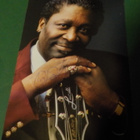 B.B. KING PROMOKORTTI NIMMARILLA - pikkukuva 1