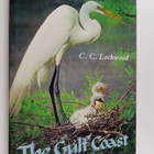 C. C. Lockwood : The Gulf Coast : where land meets sea - pikkukuva 1