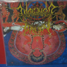 Voids Of Vomit / Morbid Upheaval M-/M- SPLIT LP - pikkukuva 2