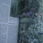 Herb & Kitchen Garden – keittiö ja yrtti puutarha - pikkukuva 4