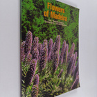 Roberto Jardim : Flowers of Madeira - pikkukuva 1