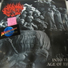 FLAMES- INTO THE AGE OF FIRE LP 2005 SAKSA PAINOS UUSI - pikkukuva 1