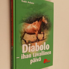 Gabi Adam : Diabolo : ihan tavallinen päivä - pikkukuva 1