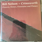 Bill Nelson: Crimsworth cd - pikkukuva 1