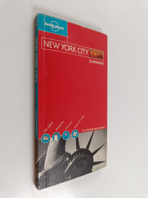 Dani Valent : New York City Condensed