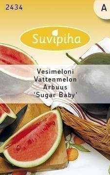 Vesimeloni Sugar baby siemenet #