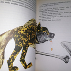 Afrikkalaisia satuja - 2.p.1980 - pikkukuva 2