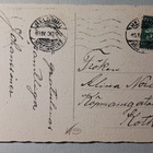 Kaksi koiraa ja kissa tuovat korin lemmikkejä, p. 1930 - pikkukuva 2