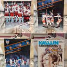 Tapparan kausijulkaisut 1991-2021 - pikkukuva 5