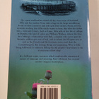 Kate Atkinson : Emotionally weird : a comic novel - pikkukuva 2