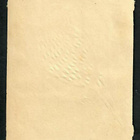Wanha - Lintunelkku - Kaunis lintu 5 - 1900-luvun alku - pikkukuva 2