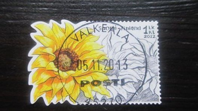 Auringonkukka (lape 2070) 2012