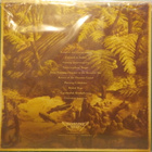 DIPLODOCUS - SLOW AND HEAVY - TYRANNIC EDIT. US 2021 UUSI LP - pikkukuva 2