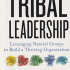 Dave Logan: Tribal Leadership - pikkukuva 1