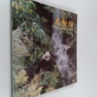 The giant panda - pikkukuva 1