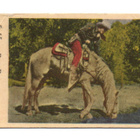 Purkkakuva S. n:o 15 ROY ROGERS Purukumikuva - pikkukuva 1