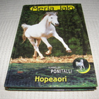 Merja Jalo Hopeaori - pikkukuva 1