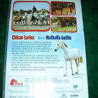 DVD hevoset: Chican tarina, Matkalla kotiin - pikkukuva 2