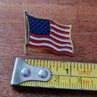Amerikka USA lippu pinssi - pikkukuva 1