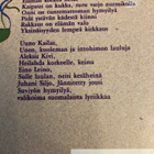 SUVIYÖN HYMYILYÄ - pikkukuva 2
