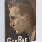 Gee-Bee : Kehdosta "Gardenin" kehään (signeerattu) - pikkukuva 1