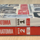 Greyn anatomia: Kausi 2 (2005-2006) 8DVD (UUSI) - pikkukuva 4