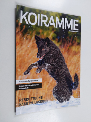 Koiramme 3/2019