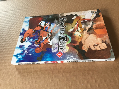 SARACHI STEINS, GATE 1 HYVÄ
