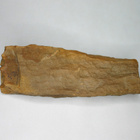 Kivettynyt puu Wolkertshofen Saksa n.1/4kg 134mm - pikkukuva 2