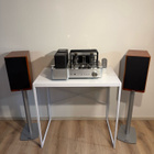 Hi-End Audiopaketti: Dynaudio Focus 140 & Tonewin MS-300B - pikkukuva 1