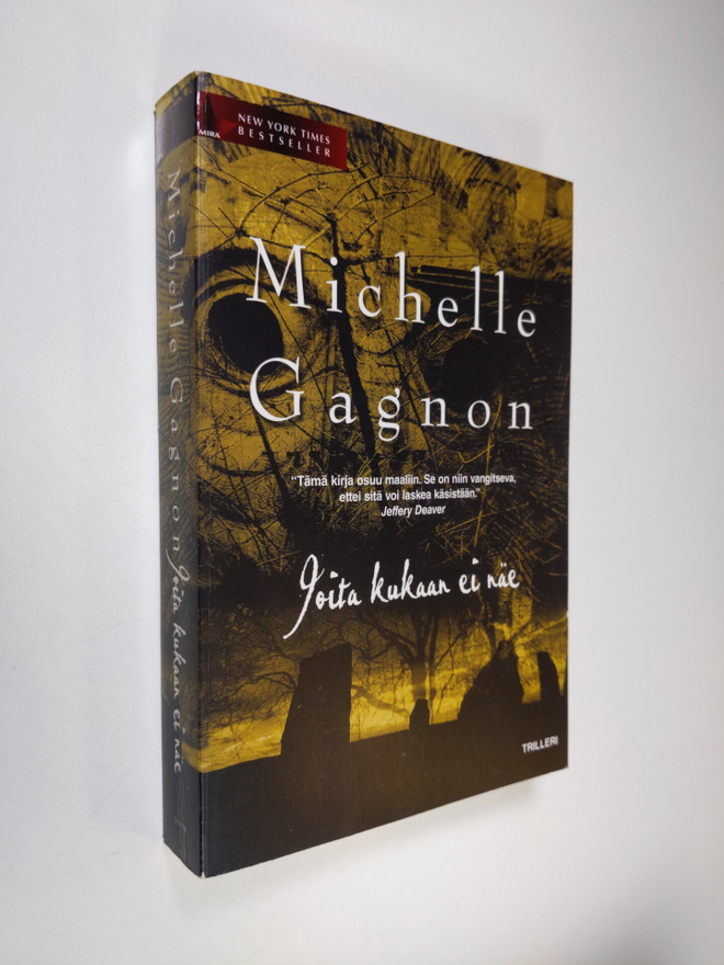 Michelle Gagnon : Joita kukaan ei näe