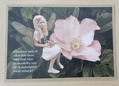 Keiju ruusupensaassa ja runo, takana piirroskeiju, ei p.