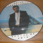 Bruce Springsteen - Tunnel of love - LP picture disc - pikkukuva 1