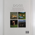 Angela Rixon ym. : World of Dogs - pikkukuva 2