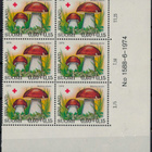 1974 PR nro-6lo ++ - pikkukuva 3